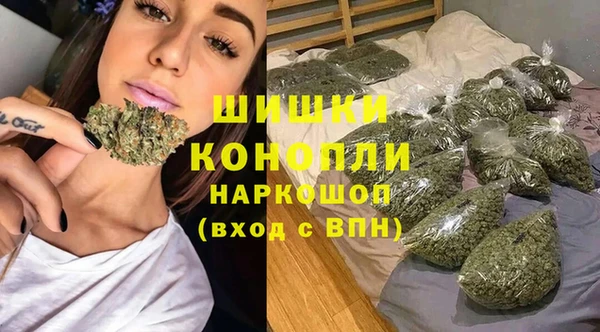 сатива Володарск