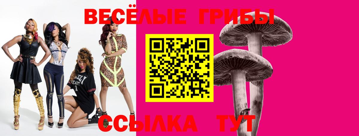 Псилоцибиновые грибы мицелий Славянск-на-Кубани