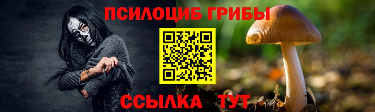 наркота  Псилоцибиновые грибы Magic Shrooms  Вход с VPN  Славянск-на-Кубани 